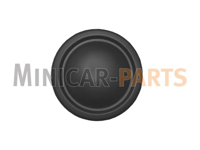 Cover foglight frontbumper Aixam