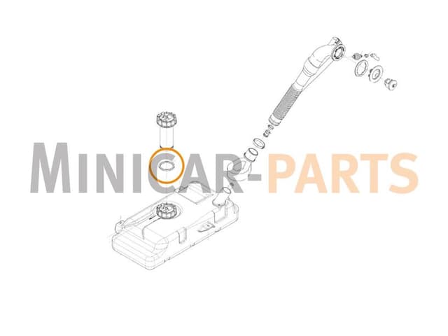 Fuel sender seal Ligier / Microcar / Due